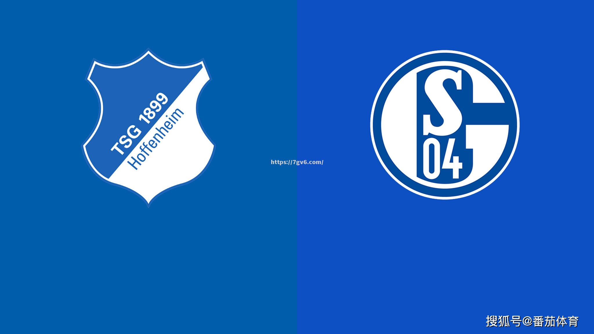 沙尔克客场绝平霍芬海姆,难解难分 沙尔克客场绝平霍芬海姆,难解难分